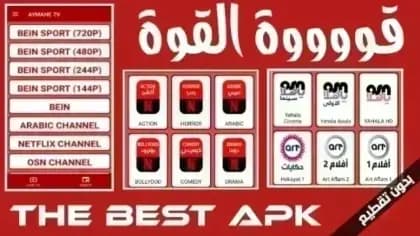 AYMAN TV مهكر — لقطة شاشة 5