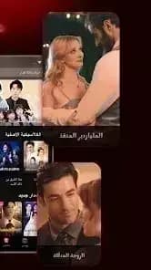 FlexTV — لقطة شاشة 5