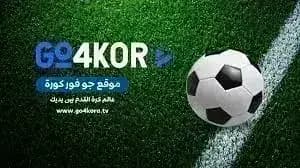 Go4kora — لقطة شاشة 3