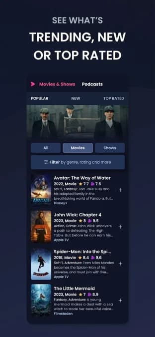 PlayPilot — لقطة شاشة 1