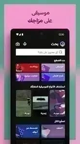 Spotify مهكر — لقطة شاشة 5