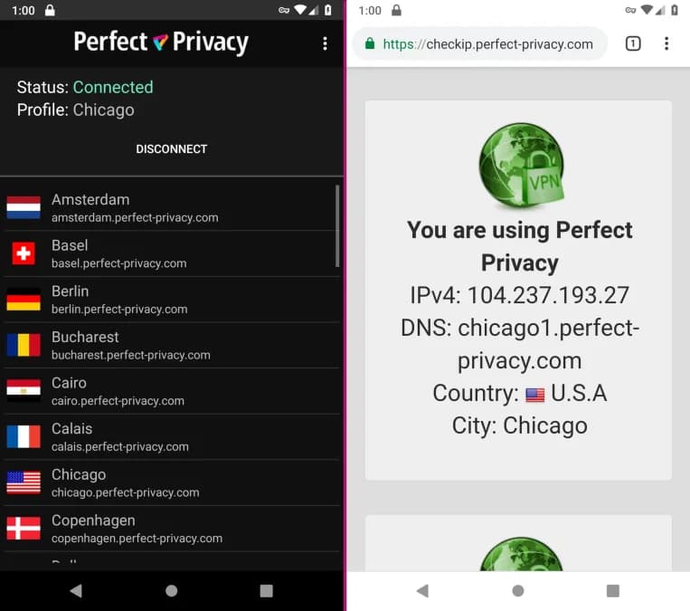 Perfect Privacy VPN مهكر — لقطة شاشة 4