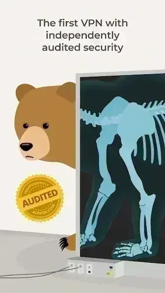TunnelBear مهكر — لقطة شاشة 8