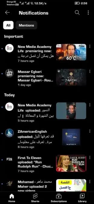 YouTube Gold مهكر — لقطة شاشة 5