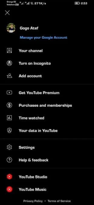 YouTube Gold مهكر — لقطة شاشة 7