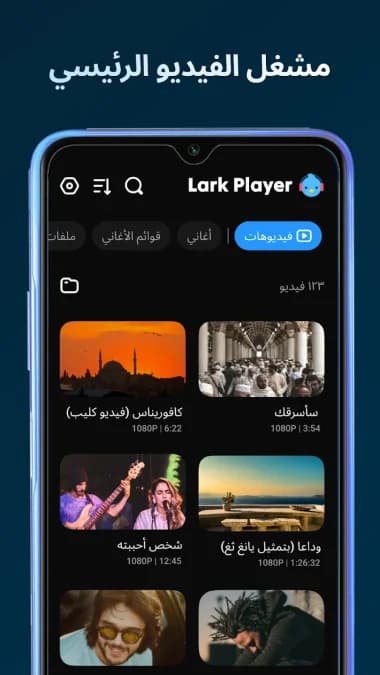 Lark Player مهكر — لقطة شاشة 4