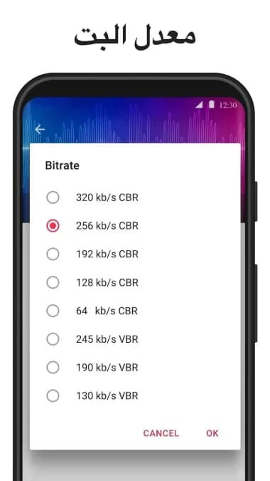 تحويل الفيديو إلى موسيقى MP3 مهكر — لقطة شاشة 3