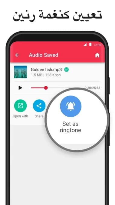 تحويل الفيديو إلى موسيقى MP3 مهكر — لقطة شاشة 8