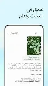 Chat GPT Arabic — لقطة شاشة 5