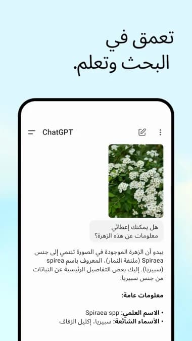 AI ChatGPT — لقطة شاشة 2