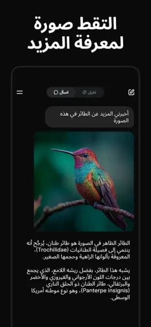 Grok AI — لقطة شاشة 4