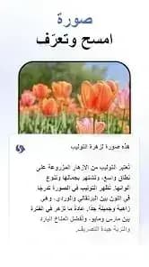 AI Seek مهكر — لقطة شاشة 2