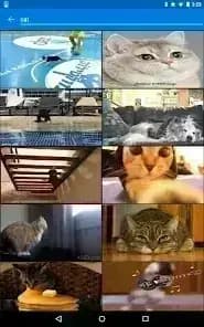 GIF Keyboard by Tenor — لقطة شاشة 8