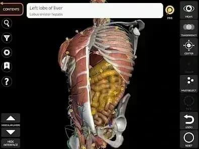 3D Anatomy — لقطة شاشة 1