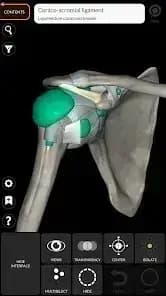 3D Anatomy — لقطة شاشة 5