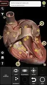 3D Anatomy — لقطة شاشة 6