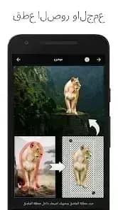 LightX Pro — لقطة شاشة 5