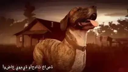 Into the Dead 2 — لقطة شاشة 3