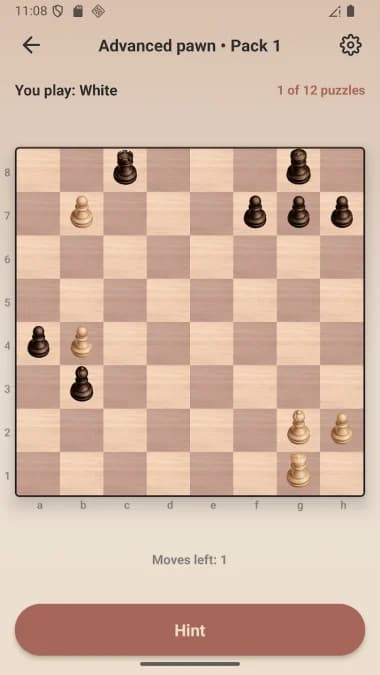 Chess Pro — لقطة شاشة 1